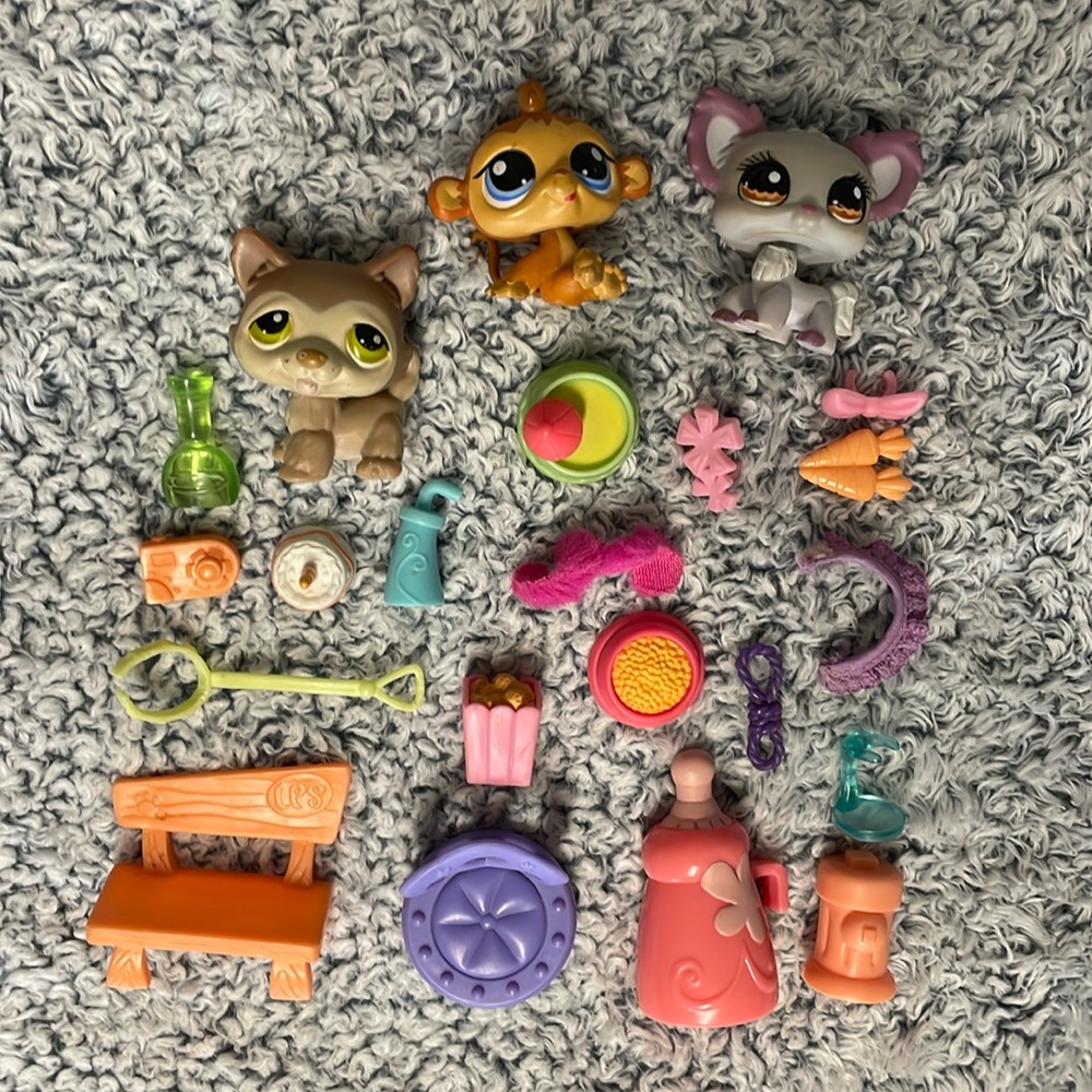 3 LPSs and 19 Miscellaneous Accessories
